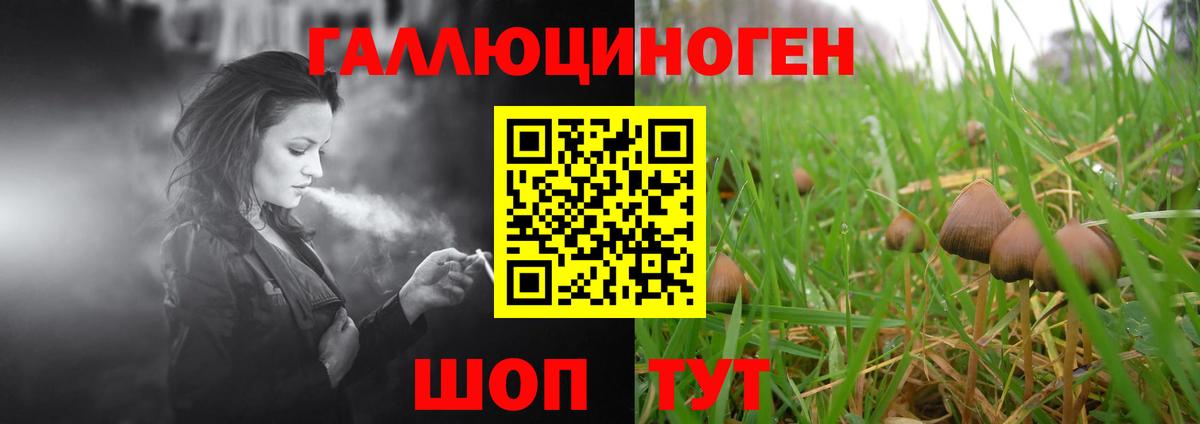 Ишим  Псилоцибиновые грибы MAGIC MUSHROOMS  Вход с VPN 